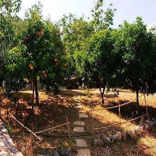 Ξενοδοχείο με διαμερίσματα Anasa Corfu (adults Only) Μπενίτσες